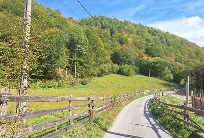 Spațiu comercial, în Măguri - 3