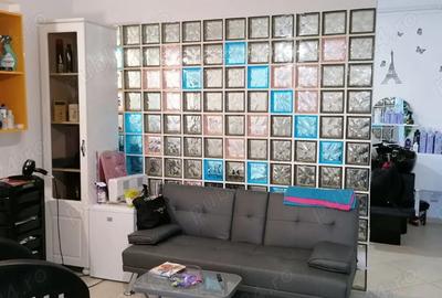 Apartament doua camere + terasa Bragadiru - 4