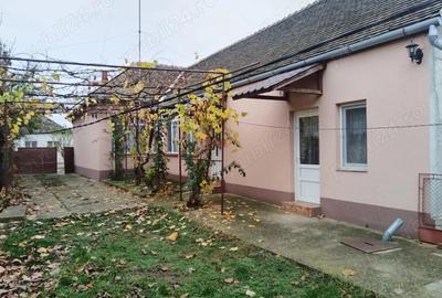 Casa de vanzare Peciu Nou - 2