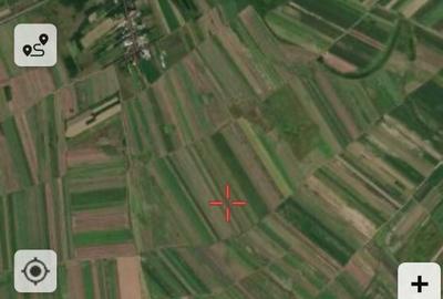 Teren extravilan Zorile Giurgiu 5000mp - 2