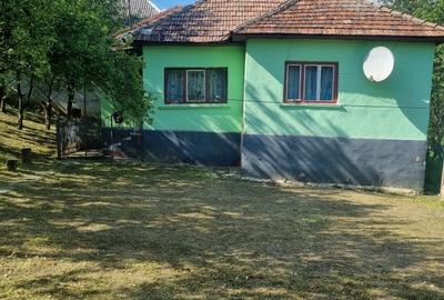 Casă cu 2 camere în Jichișu de Sus - 4