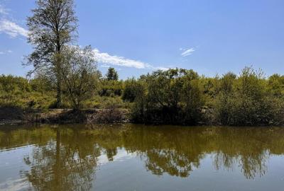 Teren 10000 mp Deschidere Lac Silistea Snagovului De Vanzare Teren 10000 mp Deschidere Lac Silistea Snagovului De Vanzare - 2
