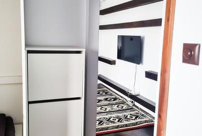 Apartament cu 2 camere, mobilat în Cornișa - 17