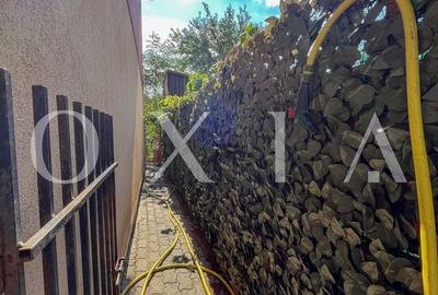 SX623 Freidorf - Casa insiruita(Capat) - COMISION 0% - 16