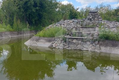 Casa de vanzare, la 11 km de Targu Jiu - 4