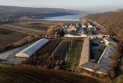 Spațiu comercial, de 50,000 mp, în Horgești - 1