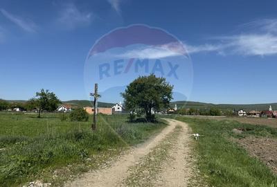 Teren intravilan 1.400 mp, imprejmuit integral - Livada, comuna Iclod - 4