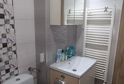 Apartament cu 2 camere decomandat, mobilat în Turnișor - 12