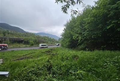 TEREN  PENTRU BUSSINESS 2842 MP DE VANZARE IN STATIUNEA  TARGU OCNA - 2