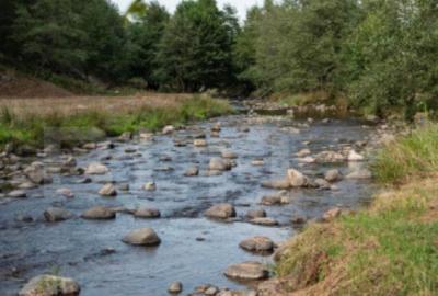 Cabana Valea Draganului 70 km de Cluj, 5 dormitoare, iz Cabana Valea Draganului 70 km de Cluj, 5 dormitoare, iz - 2