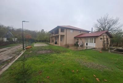 Inchiriez Vila 5 camere in Padurea Snagov, Silistea Snagovului - 3