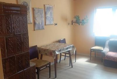 Casă individuală cu 3 camere cu Canalizare în Alioș - 13