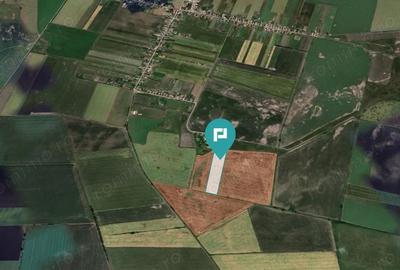 Teren extravilan de 28900 mp in Varia?ul Mare - 4