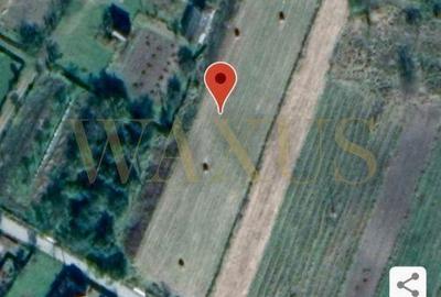 Teren de 4200 mp, în Băișoara