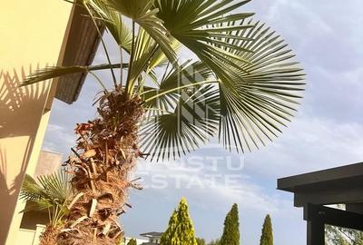 Vila superba în Dumbrăvița– 5 camere, 220 mp utili, teren 649 mp - 36