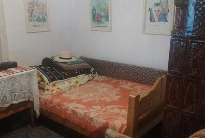 Casă cu 3 camere cu Teren 5000 Mp în Dienci