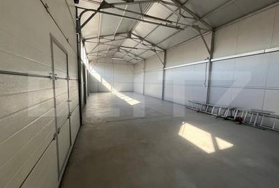 Spațiu industrial, de 120 mp, în Cantemir