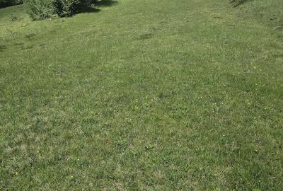 Teren de 3000 mp, în Ponor - 1