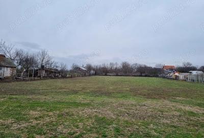 Teren de 3000 mp, în Cerneteaz - 1