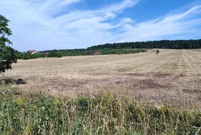 Teren de 70000 mp, în Bârsău
