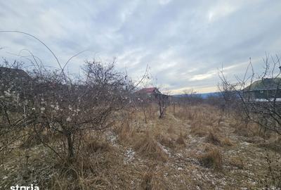 Teren de 2450 mp, în Bârnova - 1