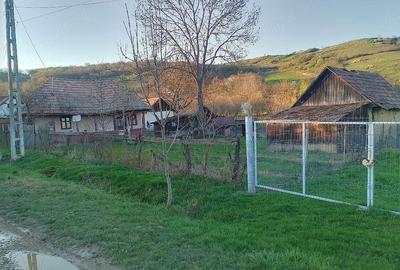 Casă cu 2 camere cu Teren 1568 Mp în Central - 3