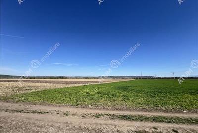 Teren intravilan de 16130 mp situat in Sibiu zona Calea Surii Mici - 2
