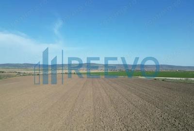 Teren de 3626 mp, în Nicolae Bălcescu - 3