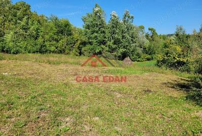 Teren intravilan in Poiana Campina 4285 mp parcelabil 11,6e - 6