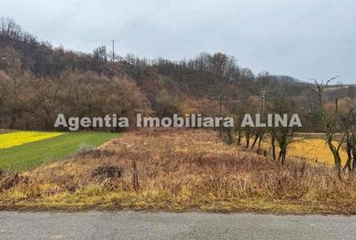 Teren extravilan 2.946 mp, situat in Satul Carjiti din Comuna Carjiti, Judetul Hunedoara. - 2