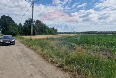 De vanzare teren 10.001 mp sat Oniscani, comuna Filipe?ti - 3