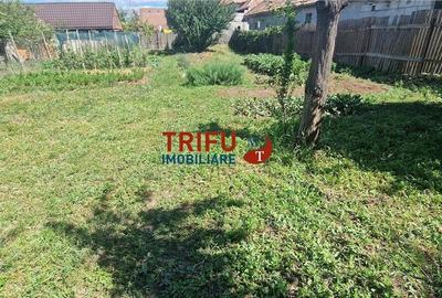 Casă 3 camere cu 733 mp teren la asfalt zona în cartierul Micești - 12