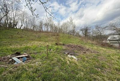 Casă cu 4 camere în Pietrișu - 4