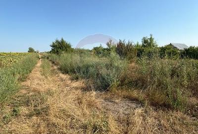 Teren Construcții intravilan de 3000 mp, în Tărtășești - 5