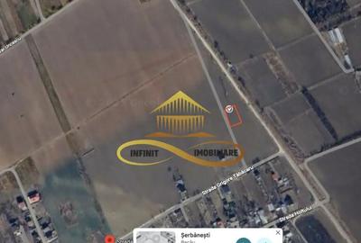 Teren de 897 mp, în Șerbănești