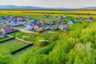 Teren 963mp Bod / Strada lalelelor - 12