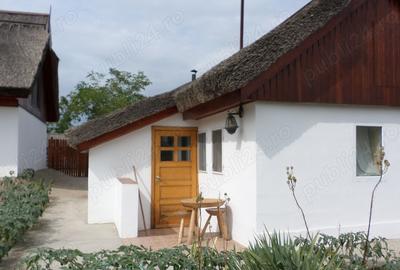 Delta Dunarii, Romania, localitatea LETEA, proprietate de VIS, - 1