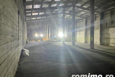 Oportunitate in Peris- teren, spatii industriale, silozuri 18000 tone- inchiriere tot sau partial - 5