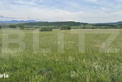 Teren de 5500 mp, în Livezile - 1