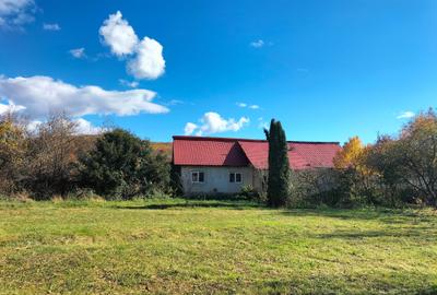 O oportunitate de investiție în inima Argeșului – Rădești, comuna Stâlpeni O oportunitate de investiție în inima Argeșului – Rădești, comuna Stâlpeni - 2