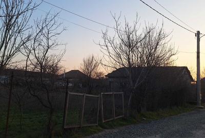Teren de 771 mp, în Valea Dacilor - 5