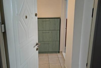 Apartament în Fundeni - 16