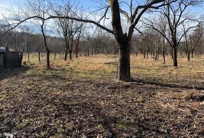 Casă cu 3 camere în Novaci - 4