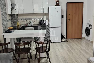 Apartament 2 camere ,Pet Friendly Centrala proprie,Campeador ,Torontal - 3