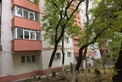 Apartament 2 camere Teiul Doamnei recent renovat - 2