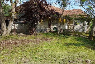 Casă cu 3 camere în Valcău de Jos - 7
