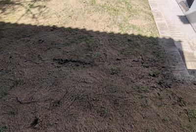 Casa individuala, semifinsata, zona Tautiului Casa individuala, semifinsata, zona Tautiului - 3