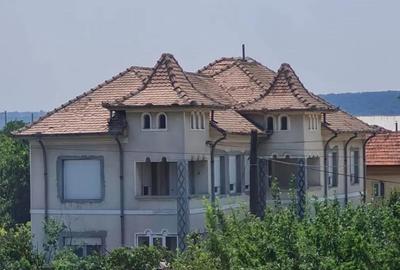 Casă cu 12 camere cu Teren 1300 Mp în Brestei - 10