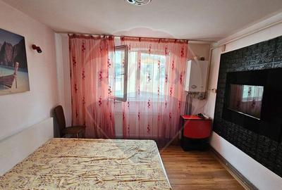 Apartament cu 1 camere de vanzare in zona Maratei - 7