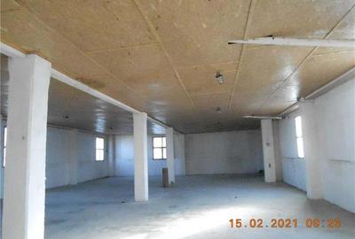 Spațiu comercial, de 800 mp, în Ineu - 6